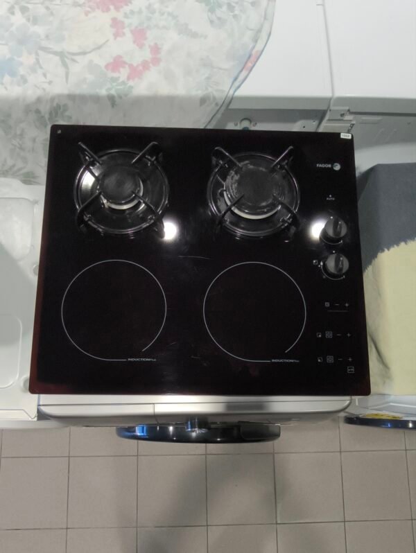Plaque induction Mixte fagor