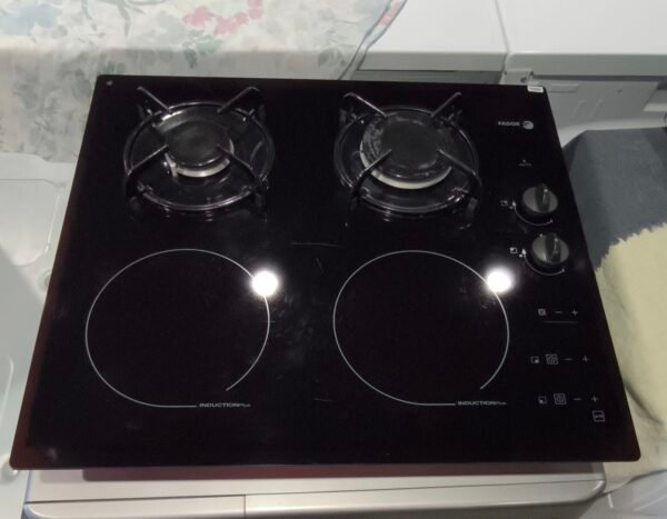 Plaque induction Mixte fagor