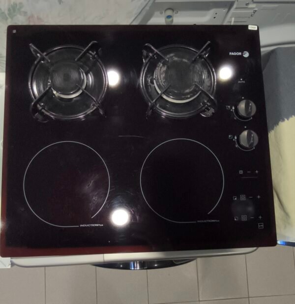 Plaque induction Mixte fagor