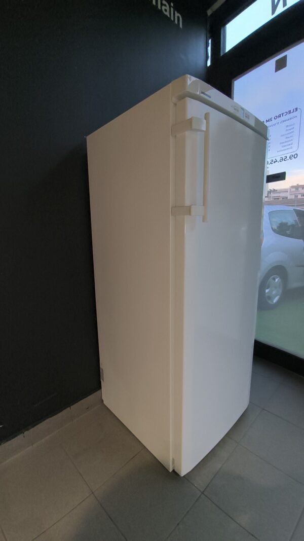 Congélateur armoire Liebherr no frost