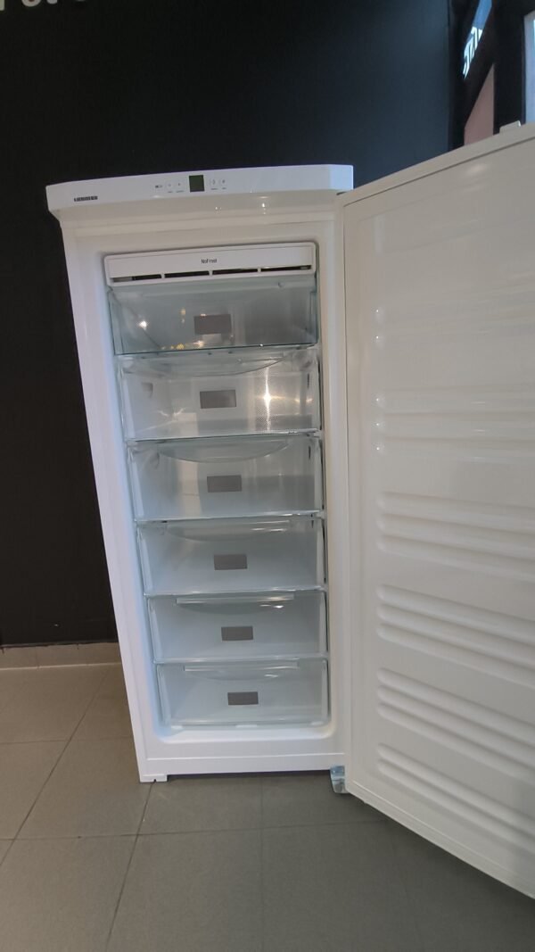 Congélateur armoire Liebherr no frost